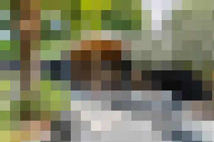 Muurzwaluw 38 Veenendaal thumbnail 21