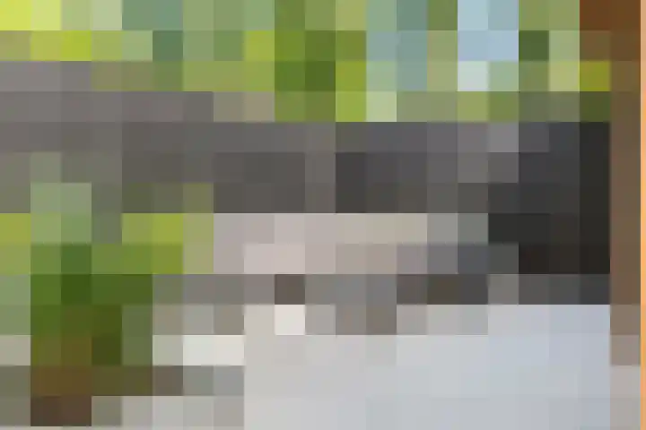 Muurzwaluw 38 Veenendaal thumbnail 23