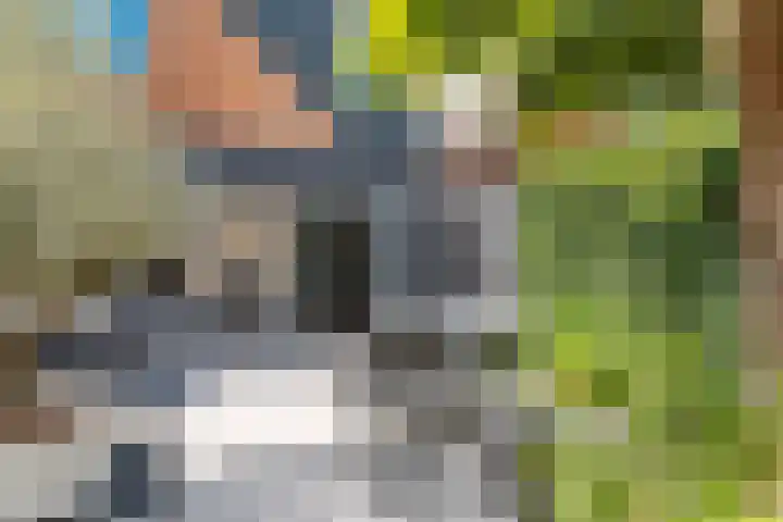 Muurzwaluw 38 Veenendaal thumbnail 25