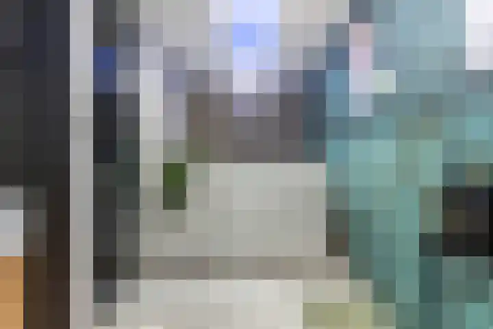 Muurzwaluw 38 Veenendaal thumbnail 34