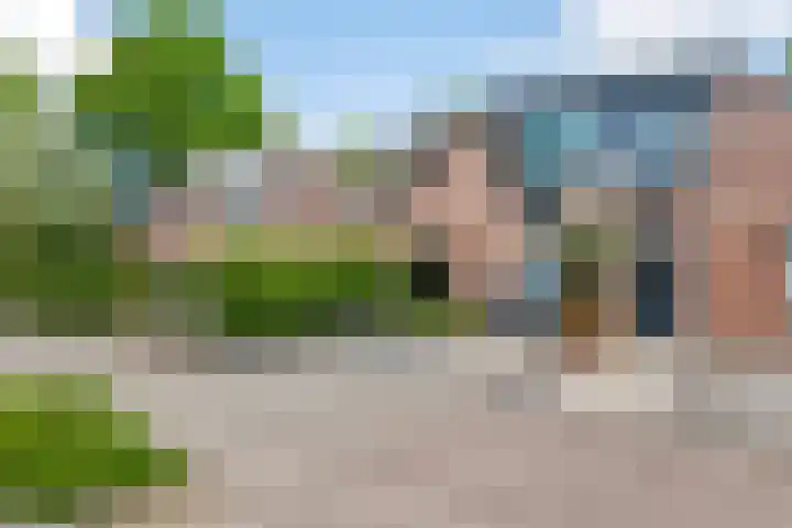 Muurzwaluw 38 Veenendaal thumbnail 4