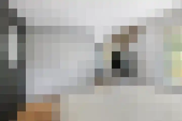 Muurzwaluw 38 Veenendaal thumbnail 41