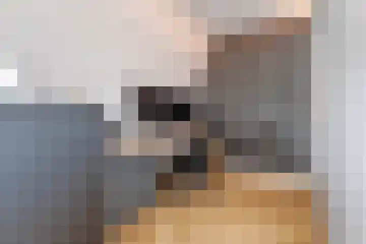 Muurzwaluw 38 Veenendaal thumbnail 47