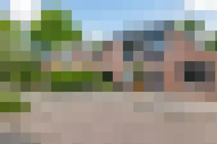 Muurzwaluw 38 Veenendaal thumbnail 49