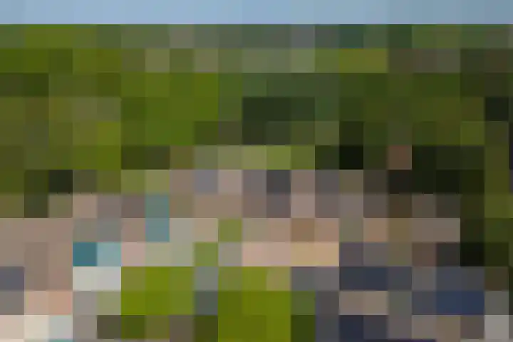 Muurzwaluw 38 Veenendaal thumbnail 50