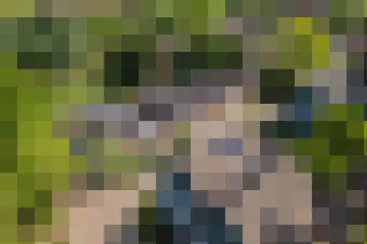 Muurzwaluw 38 Veenendaal thumbnail 52