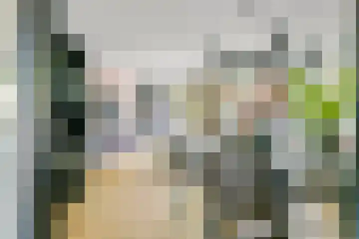 Muurzwaluw 38 Veenendaal thumbnail 6