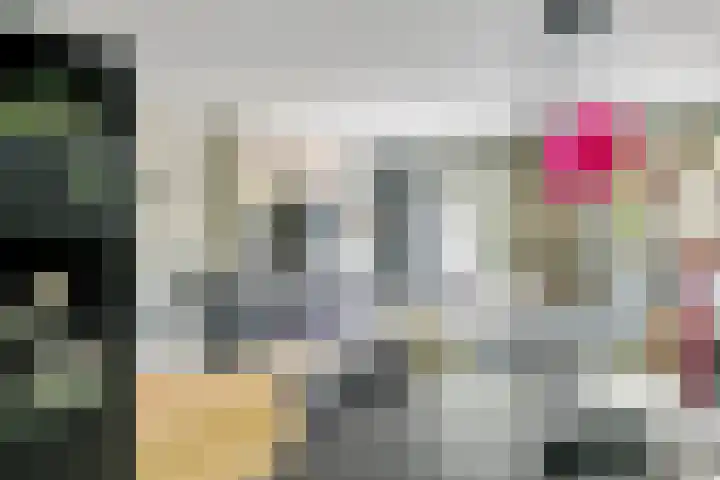 Muurzwaluw 38 Veenendaal thumbnail 7