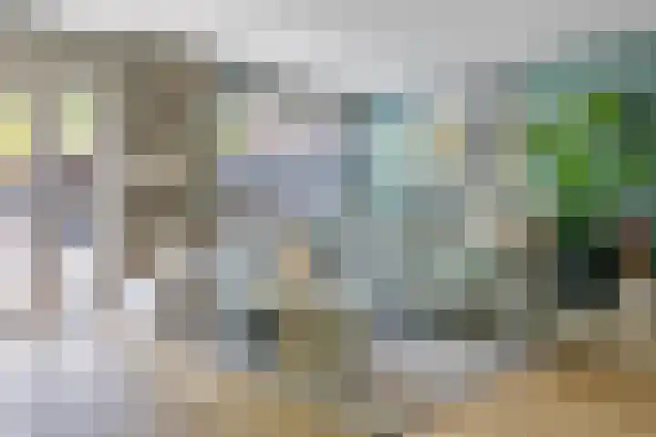 Muurzwaluw 38 Veenendaal thumbnail 8