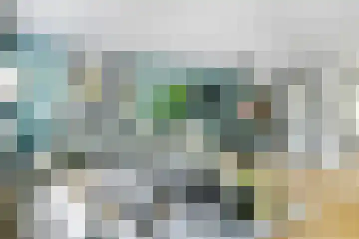 Muurzwaluw 38 Veenendaal thumbnail 9