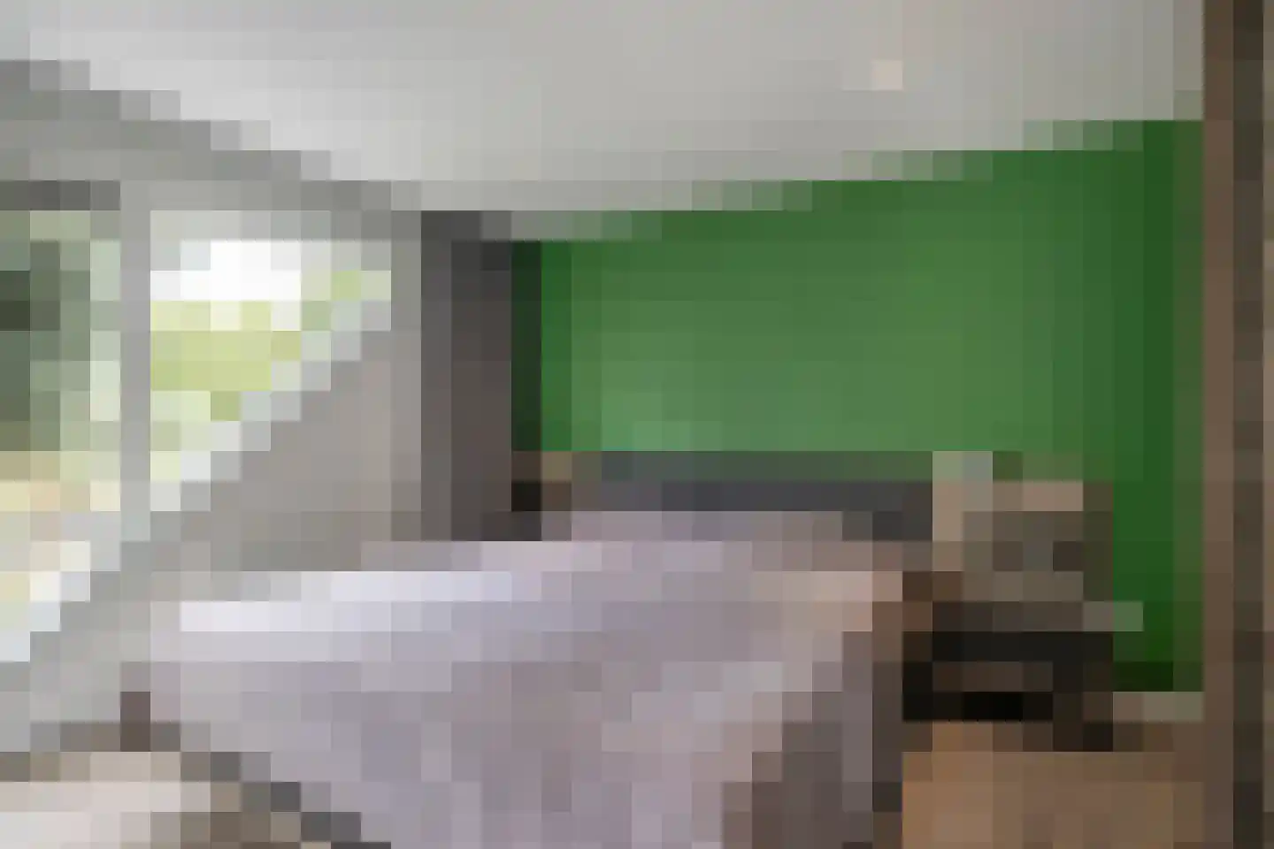 Muurzwaluw 42 Veenendaal thumbnail 23