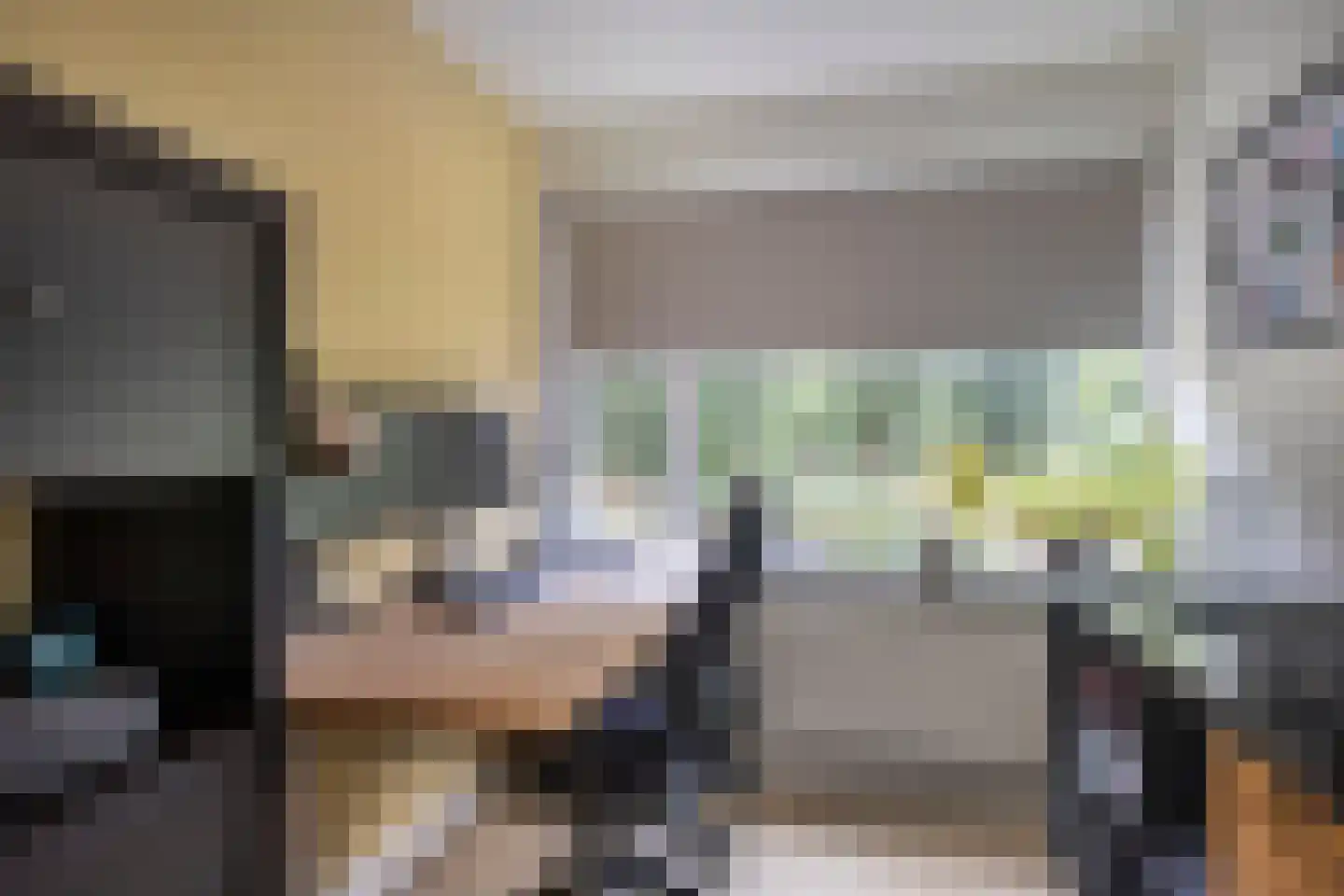 Muurzwaluw 42 Veenendaal thumbnail 27