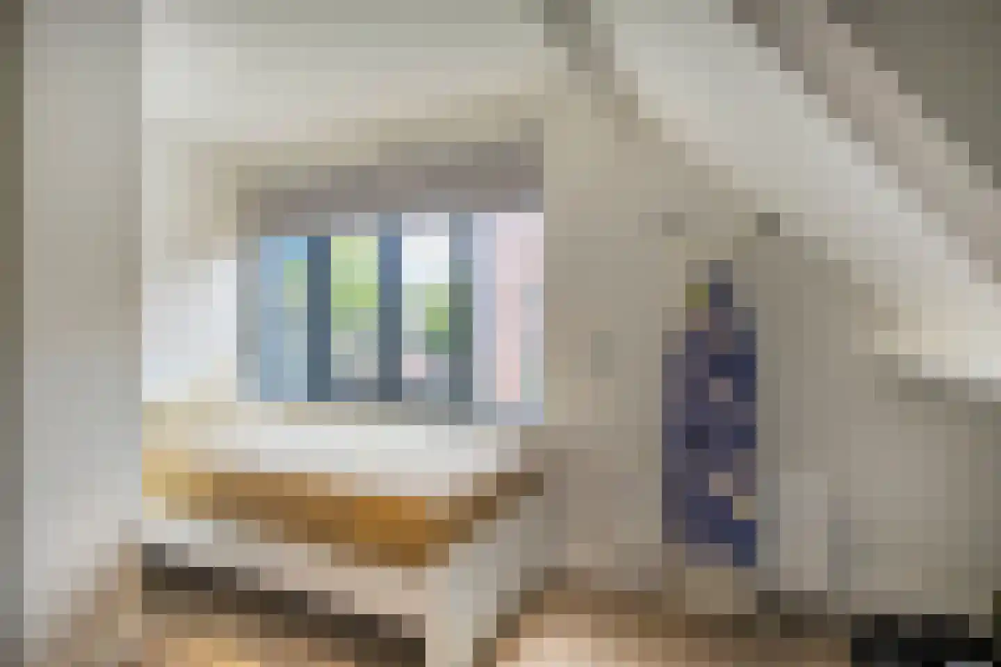 Muurzwaluw 42 Veenendaal thumbnail 30