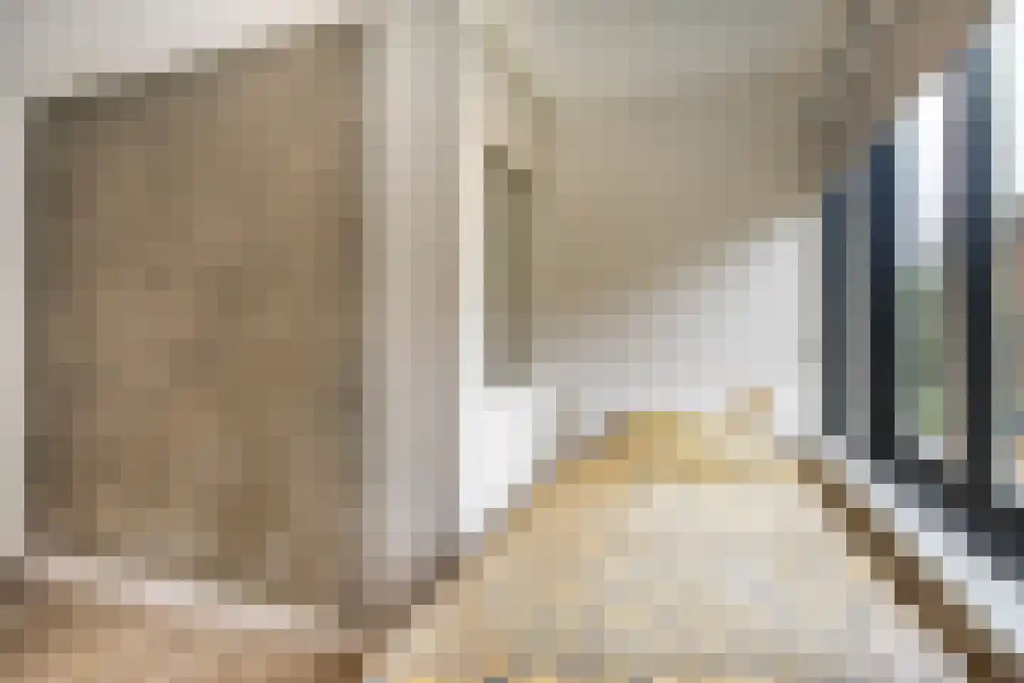 Muurzwaluw 42 Veenendaal thumbnail 31