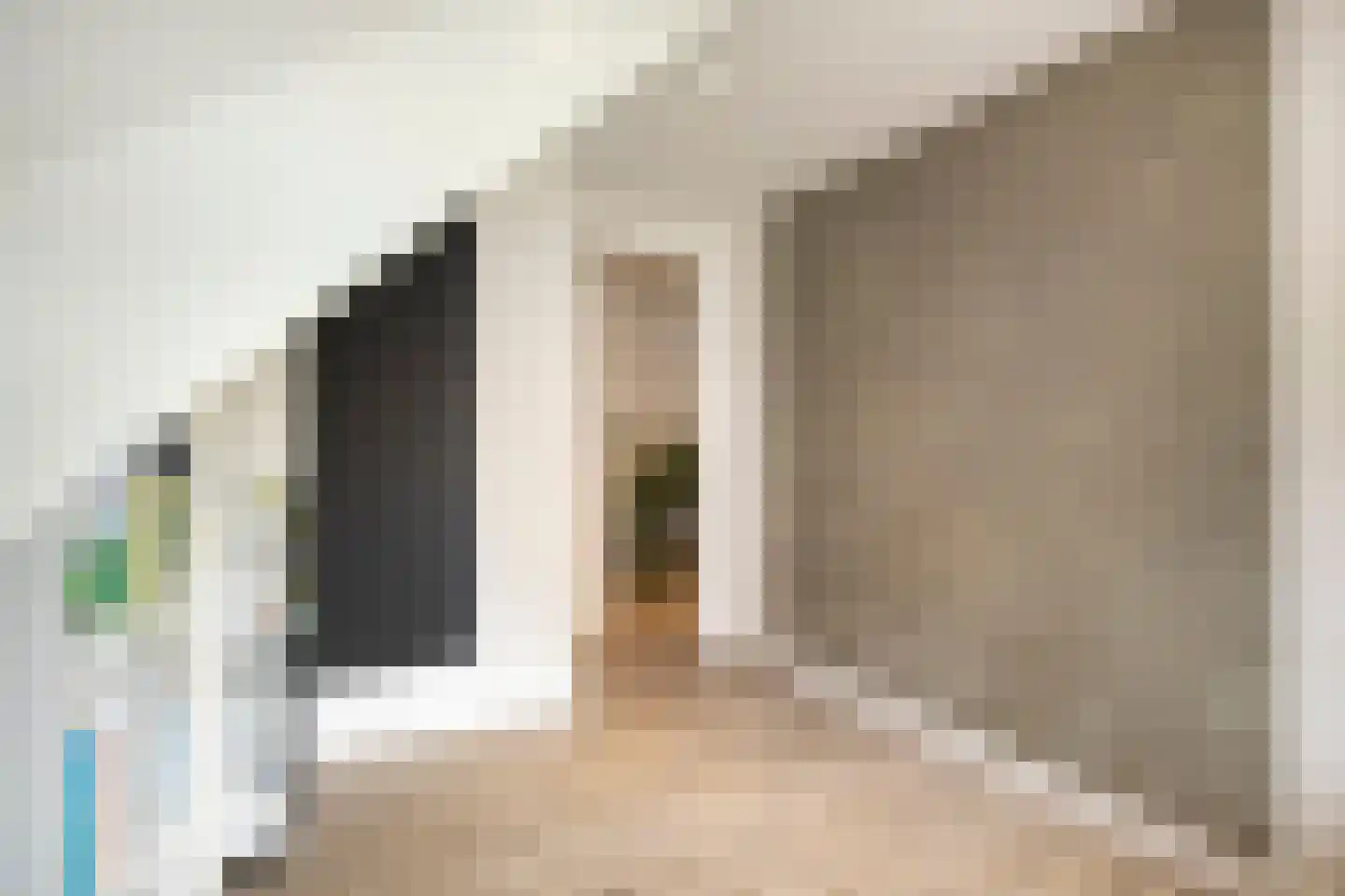 Muurzwaluw 42 Veenendaal thumbnail 32