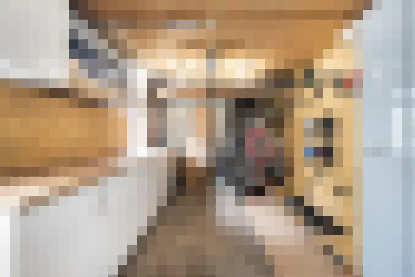 Muurzwaluw 42 Veenendaal thumbnail 38