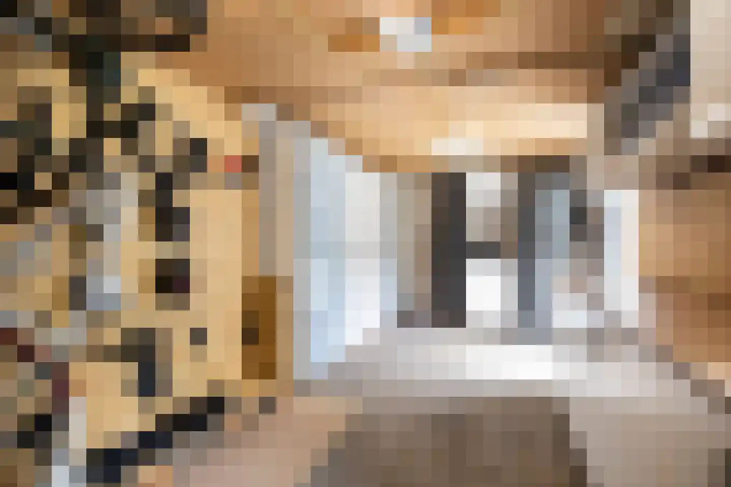 Muurzwaluw 42 Veenendaal thumbnail 39