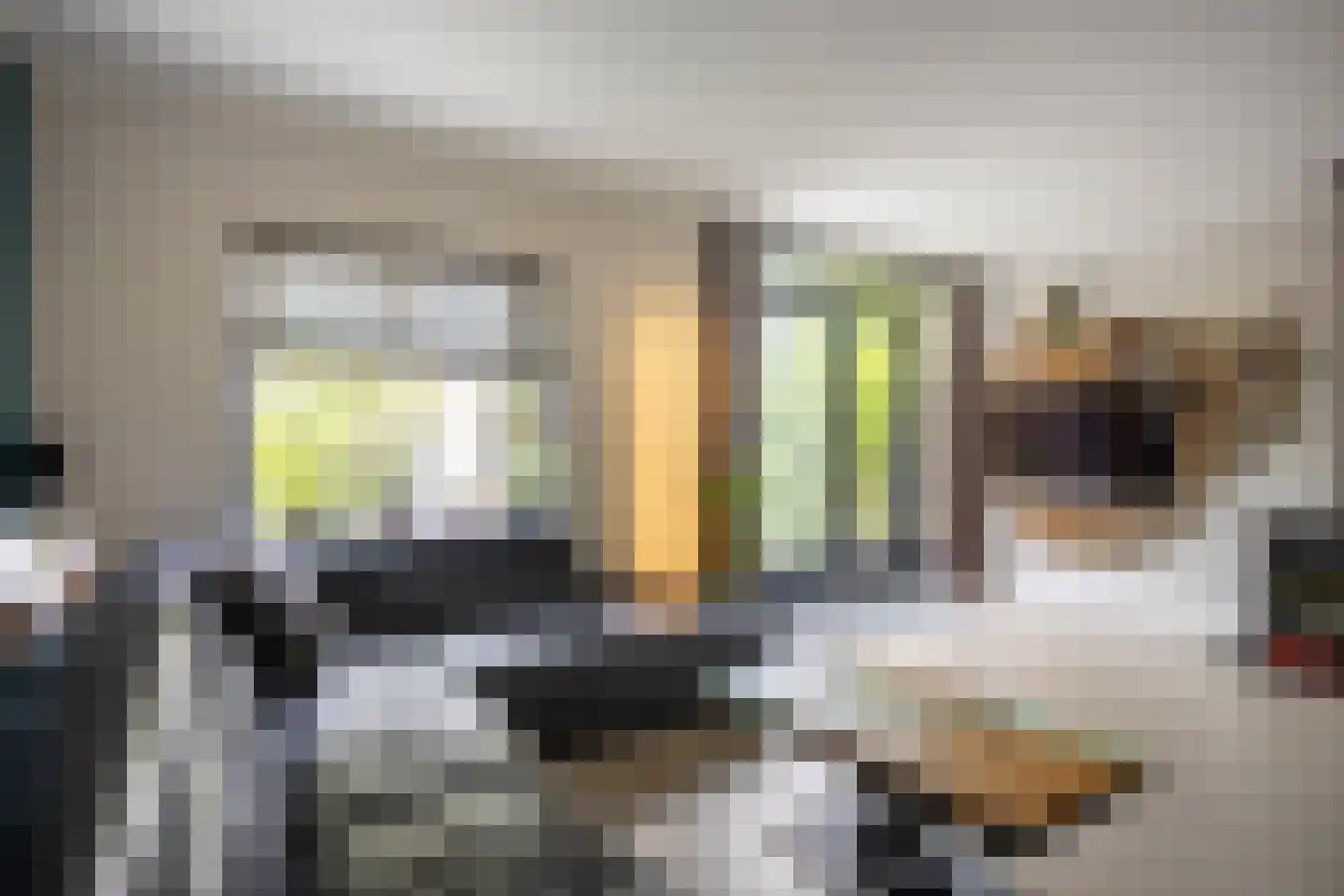 Muurzwaluw 42 Veenendaal thumbnail 4
