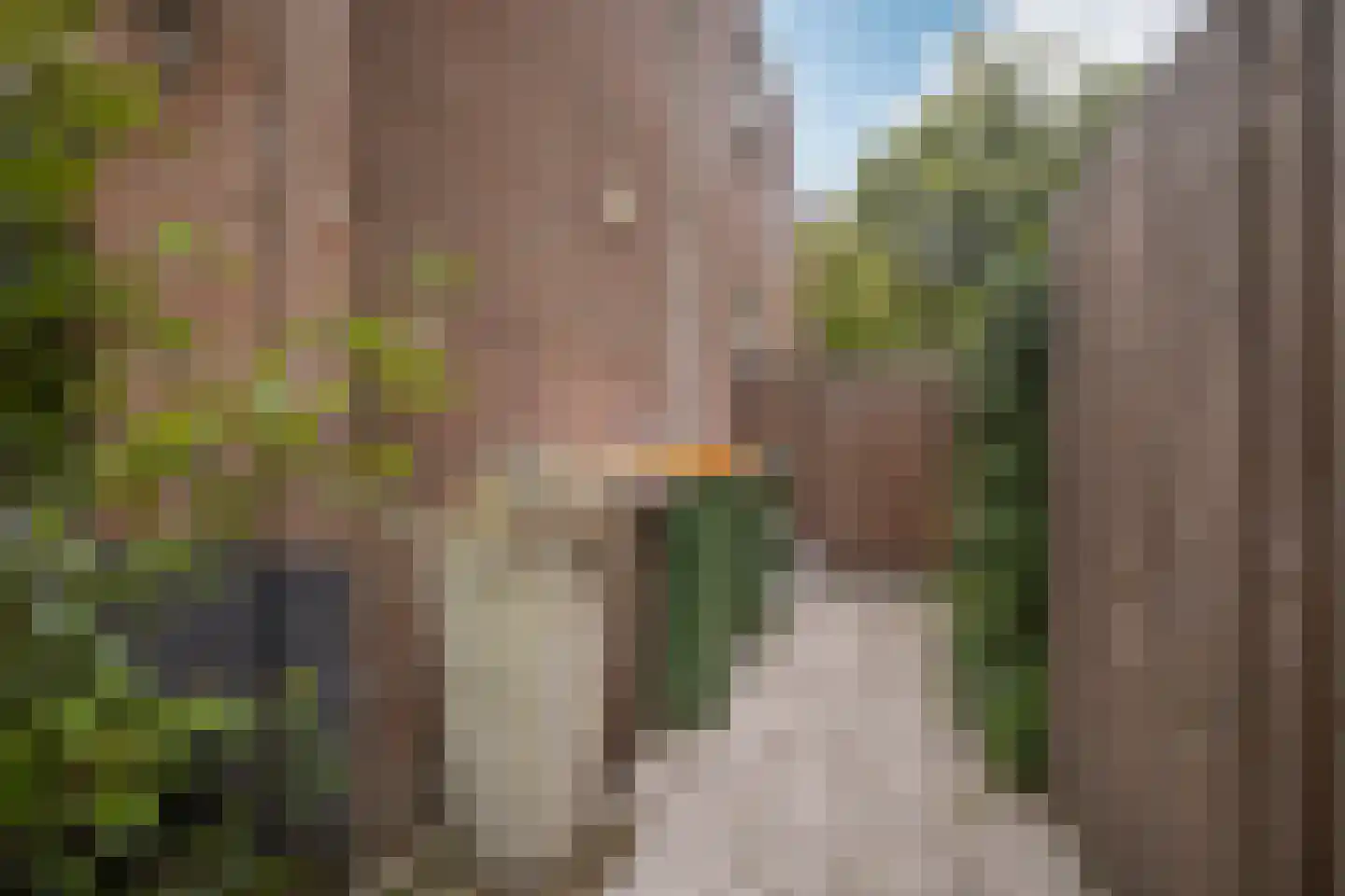 Muurzwaluw 42 Veenendaal thumbnail 42