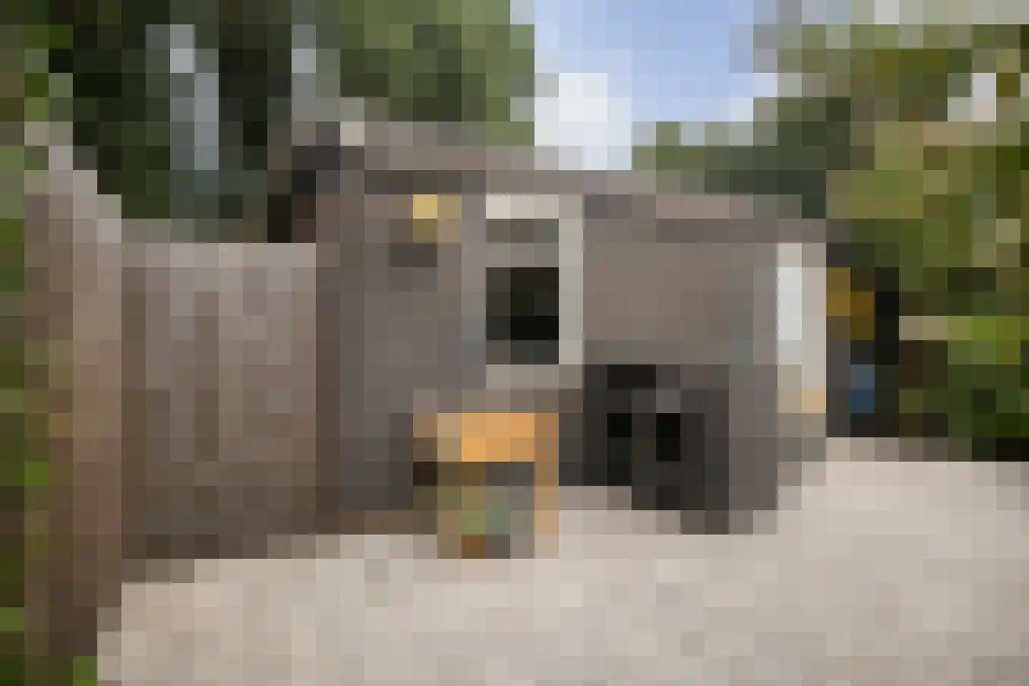 Muurzwaluw 42 Veenendaal thumbnail 44
