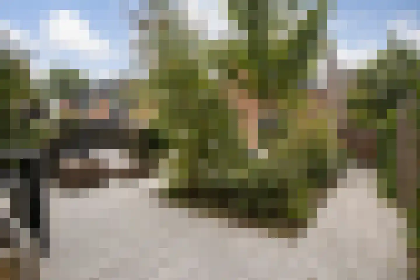 Muurzwaluw 42 Veenendaal thumbnail 45