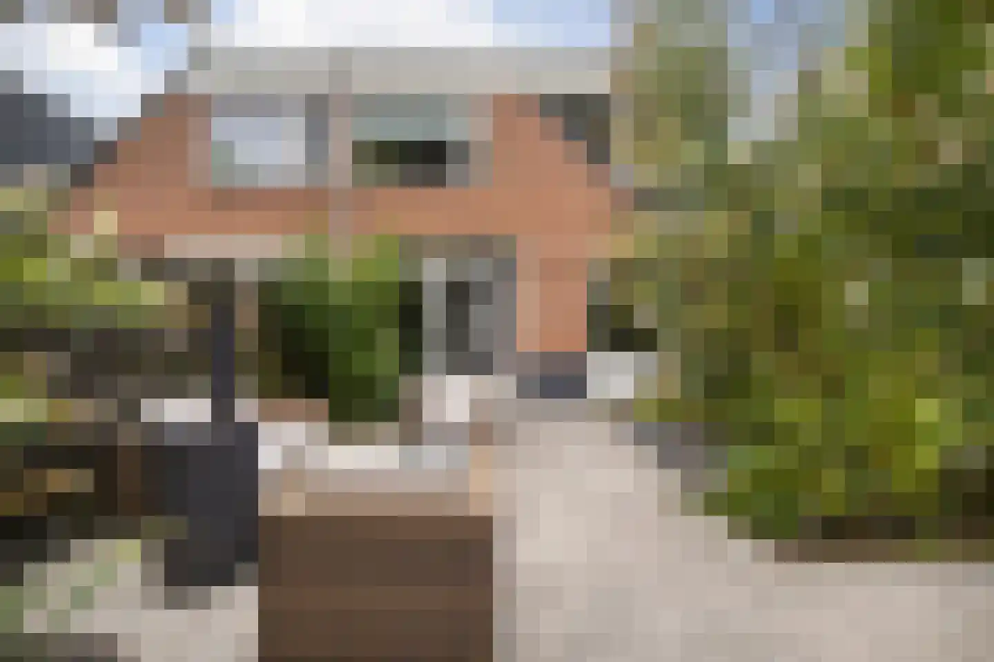 Muurzwaluw 42 Veenendaal thumbnail 46