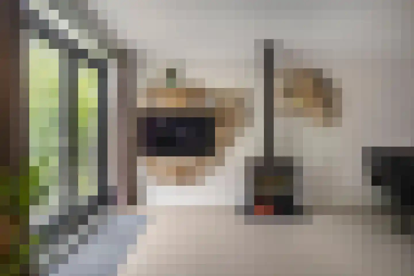 Muurzwaluw 42 Veenendaal thumbnail 5
