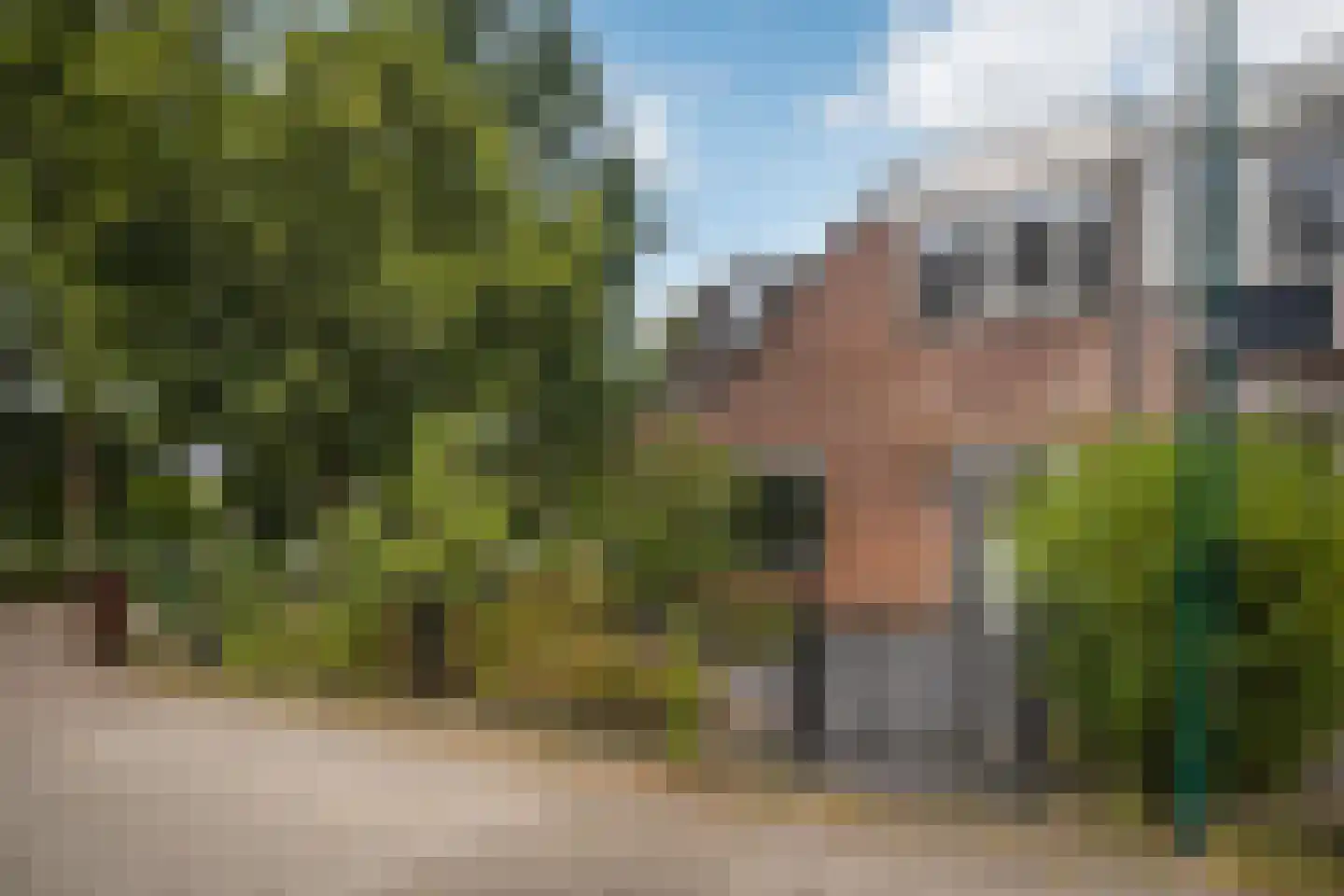 Muurzwaluw 42 Veenendaal thumbnail 50