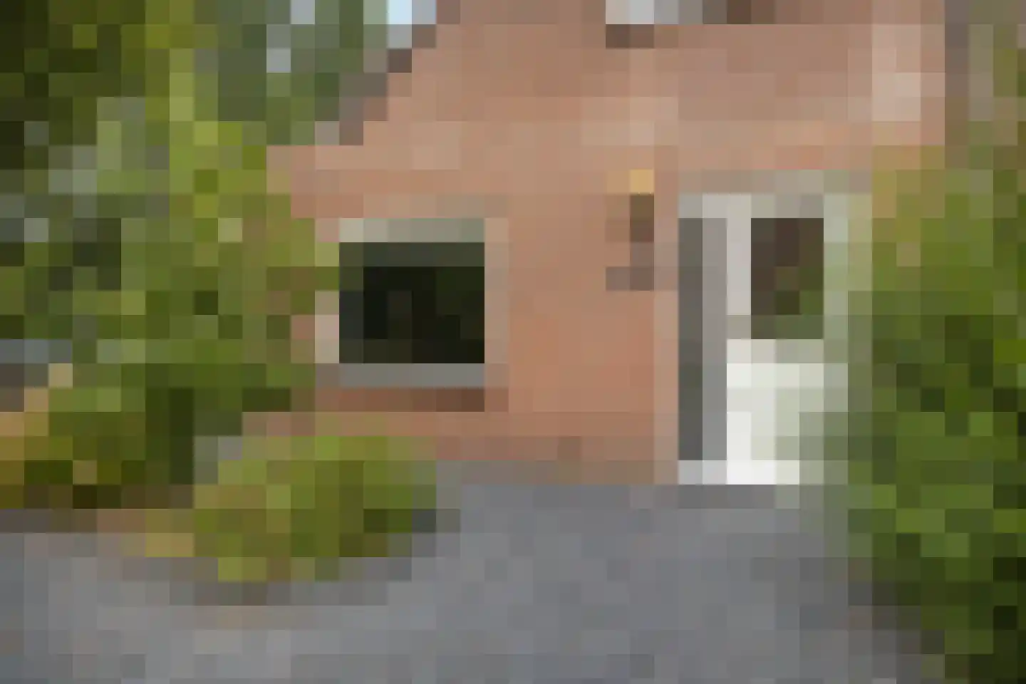 Muurzwaluw 42 Veenendaal thumbnail 51
