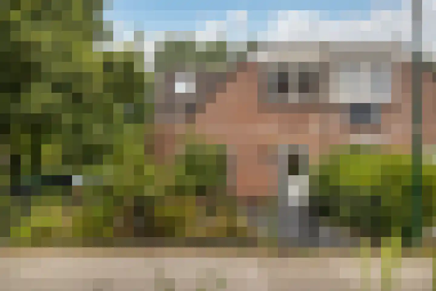 Muurzwaluw 42 Veenendaal thumbnail 52