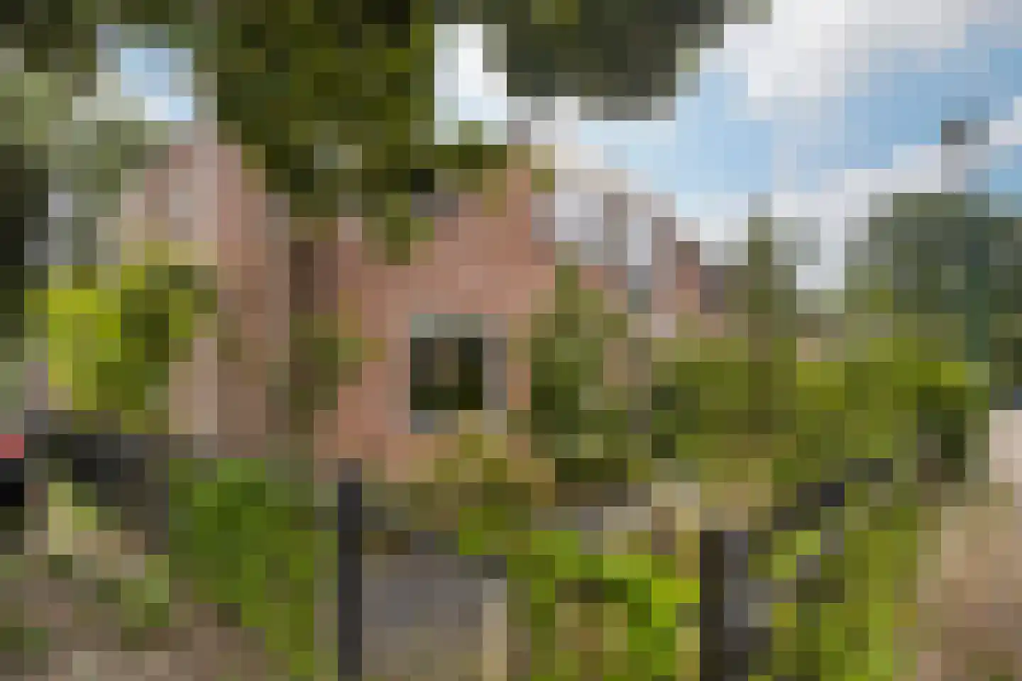 Muurzwaluw 42 Veenendaal thumbnail 53