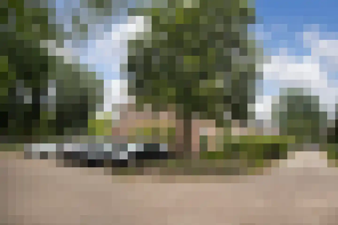 Muurzwaluw 42 Veenendaal thumbnail 54
