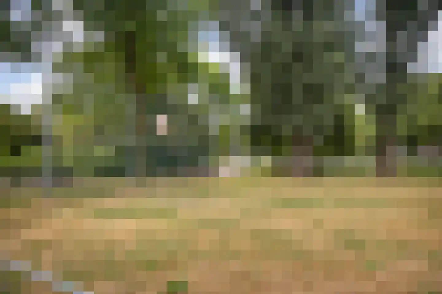 Muurzwaluw 42 Veenendaal thumbnail 55