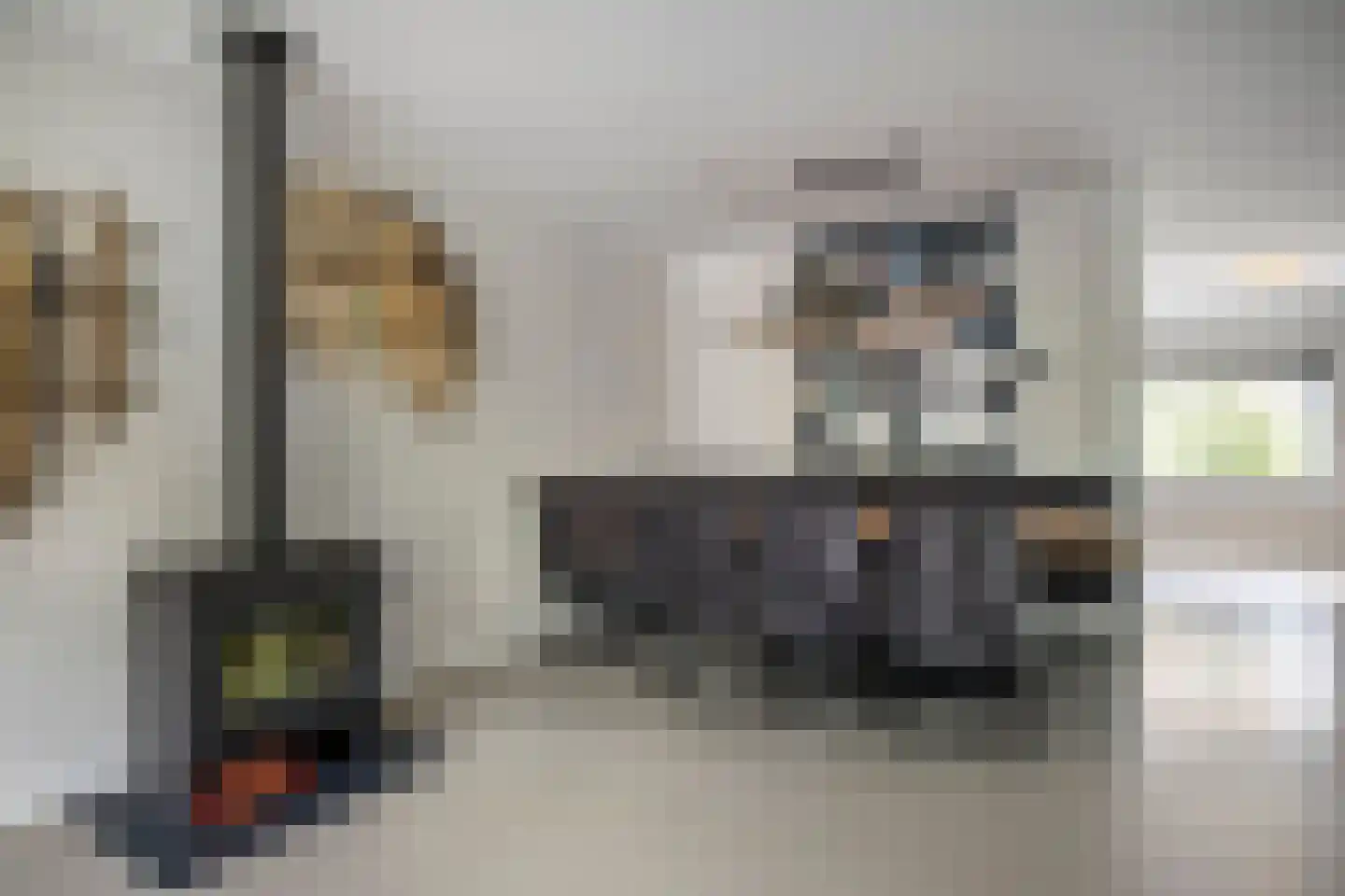 Muurzwaluw 42 Veenendaal thumbnail 6