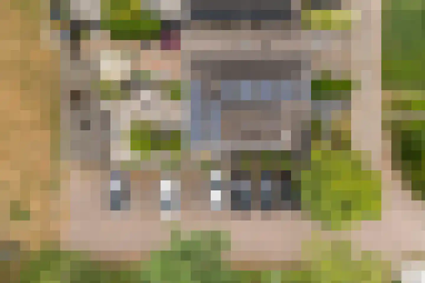 Muurzwaluw 42 Veenendaal thumbnail 60