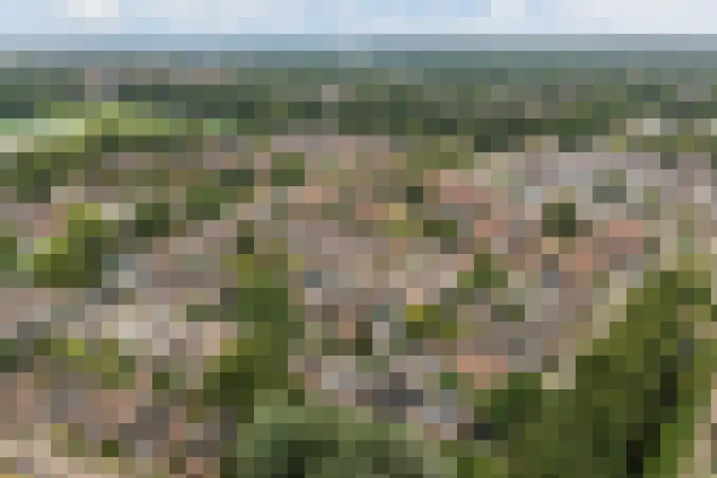 Muurzwaluw 42 Veenendaal thumbnail 62