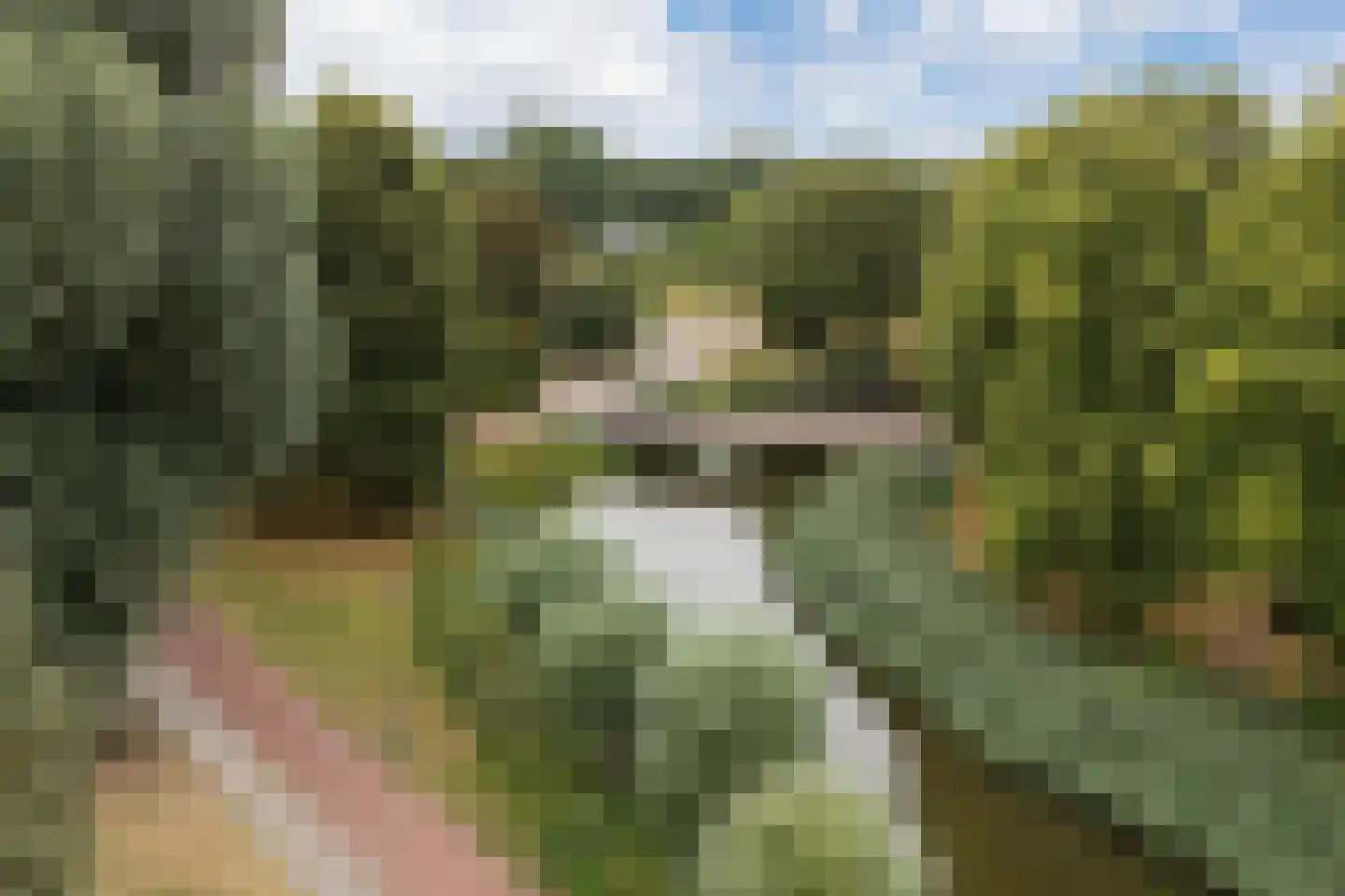Muurzwaluw 42 Veenendaal thumbnail 63