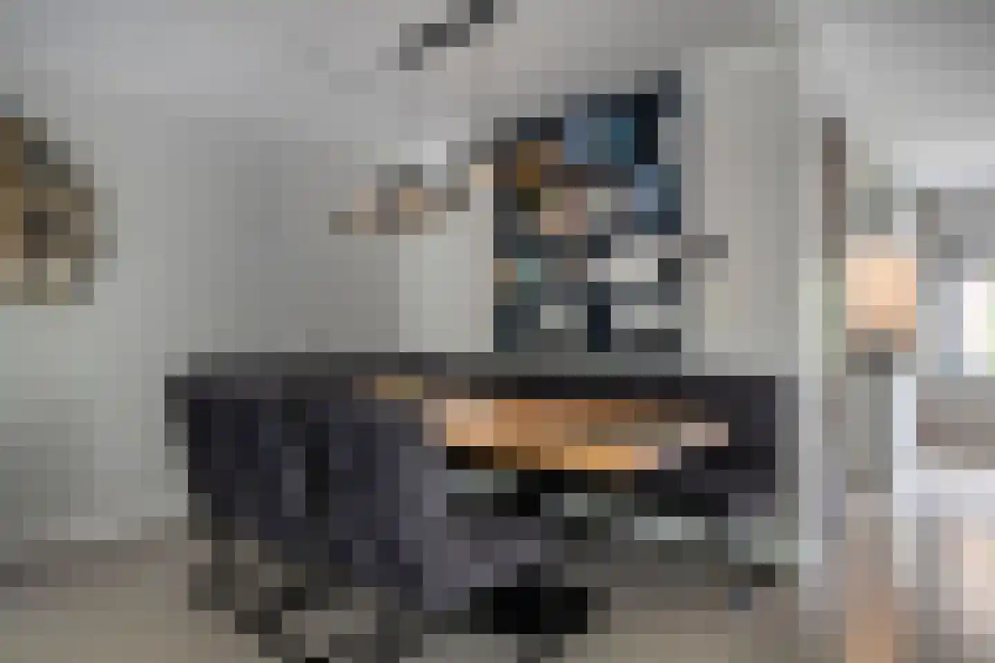 Muurzwaluw 42 Veenendaal thumbnail 8