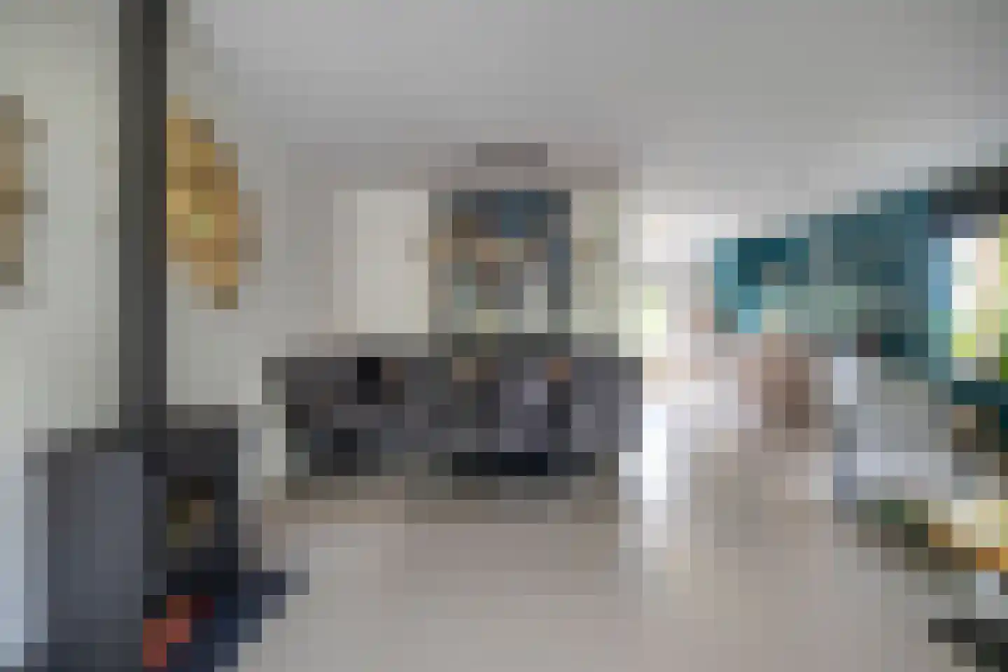 Muurzwaluw 42 Veenendaal thumbnail 9