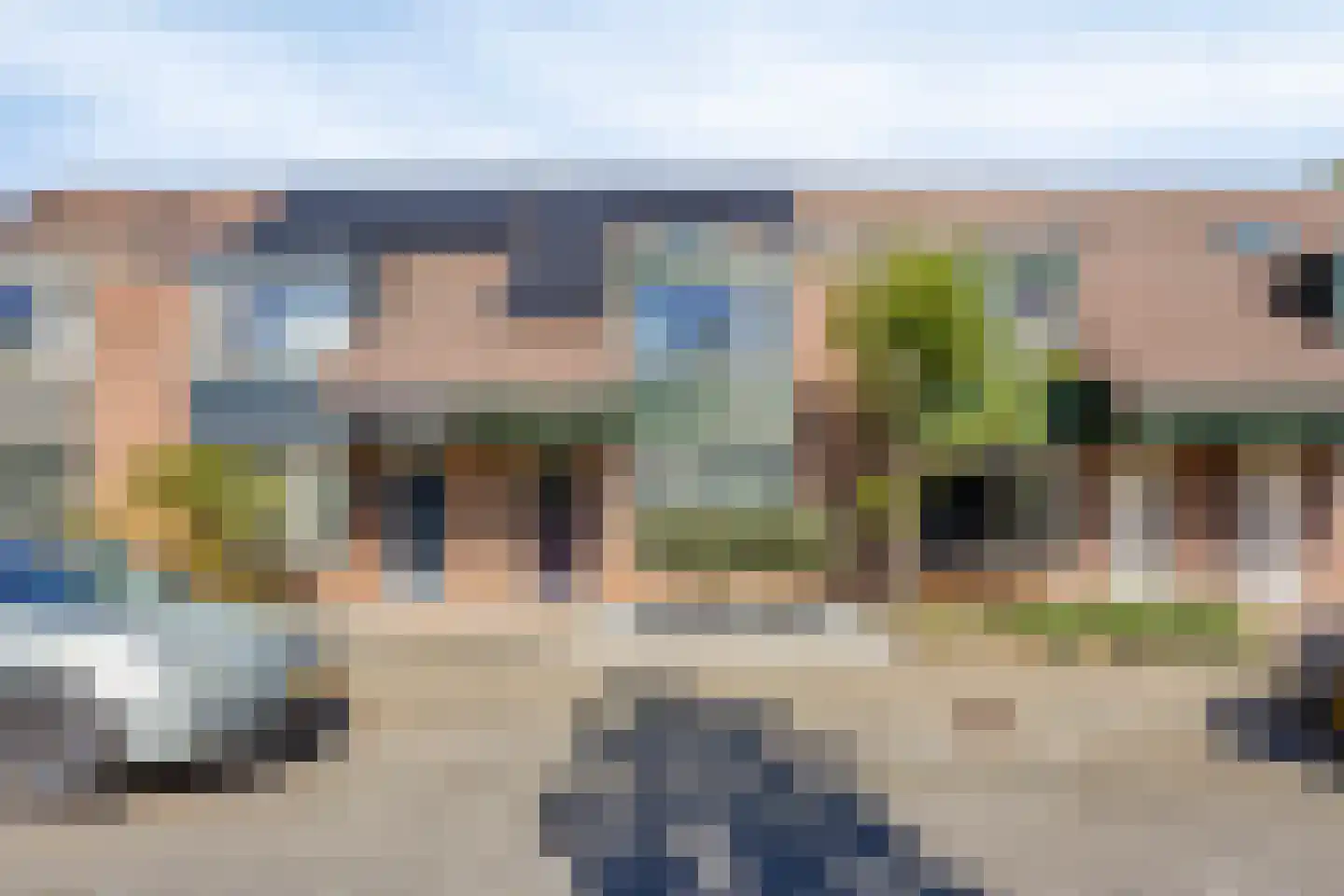 Muurzwaluw 8 Veenendaal