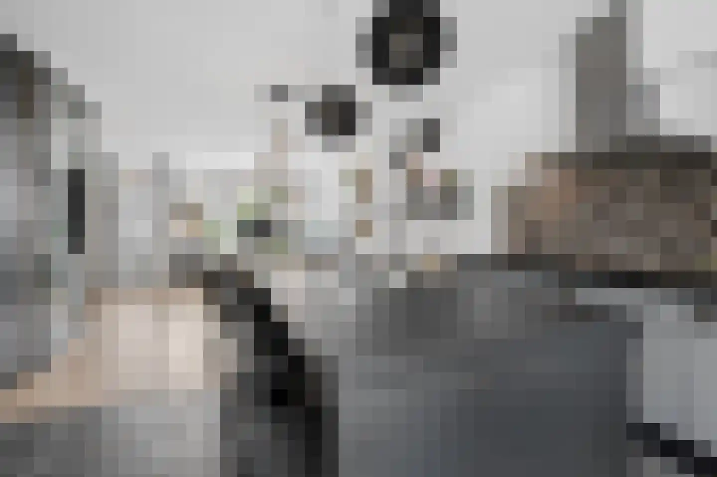 Muurzwaluw 9 Veenendaal thumbnail 10