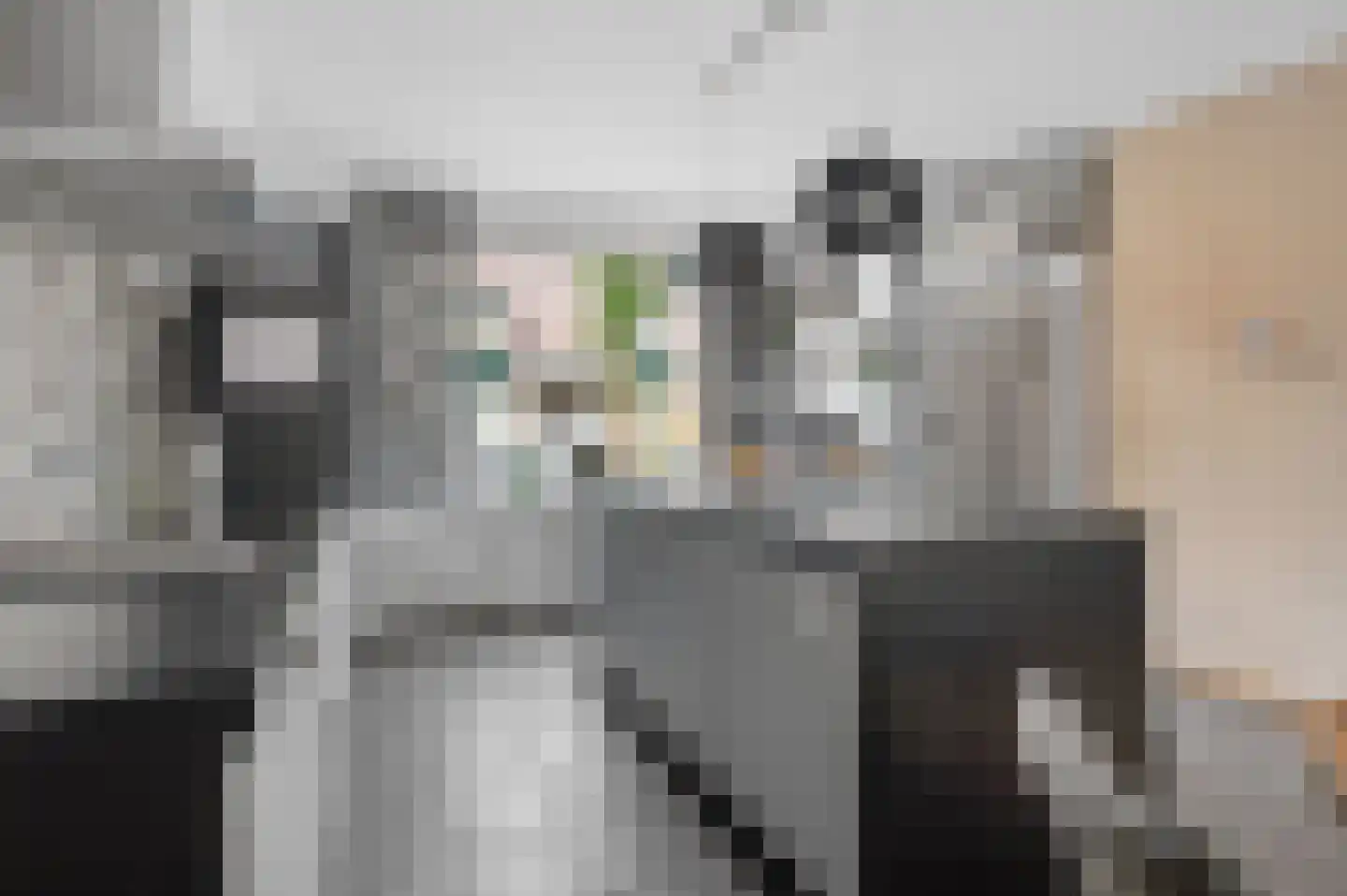 Muurzwaluw 9 Veenendaal thumbnail 11