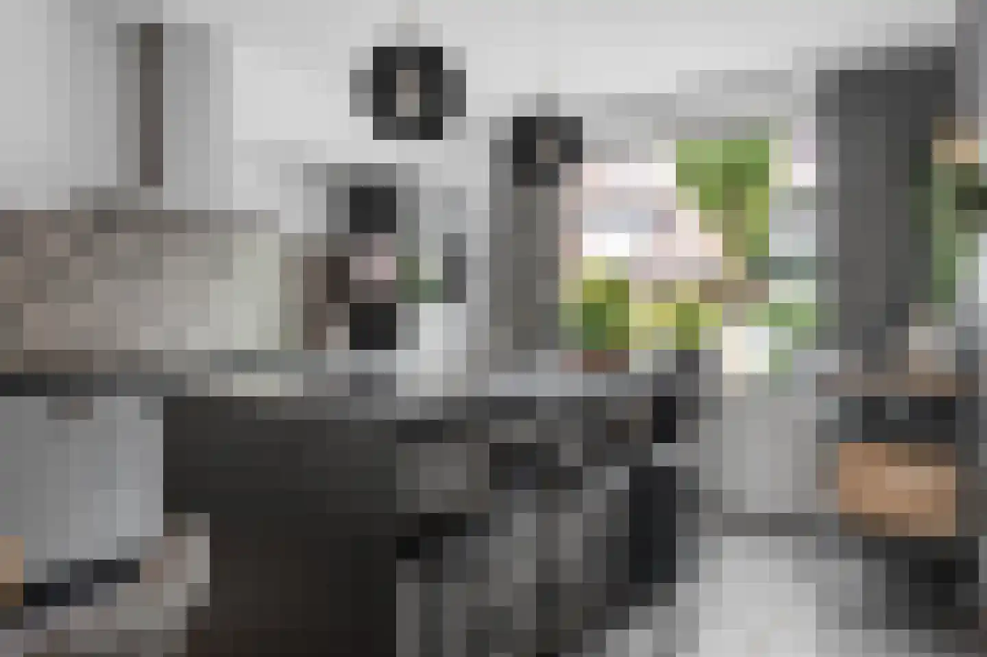 Muurzwaluw 9 Veenendaal thumbnail 12