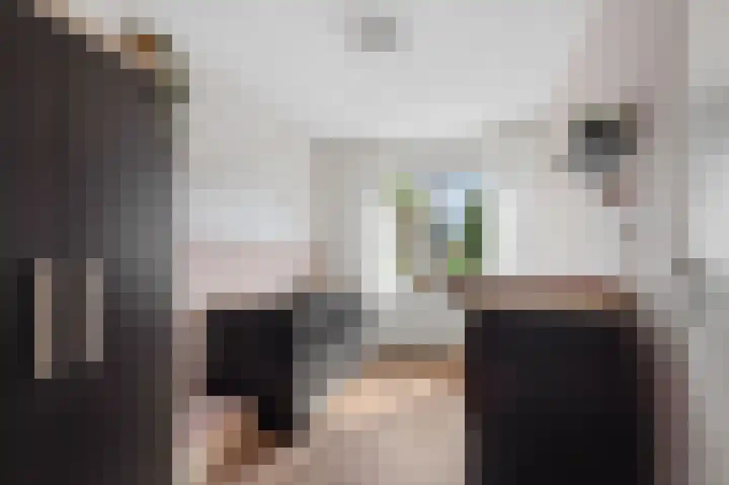 Muurzwaluw 9 Veenendaal thumbnail 17