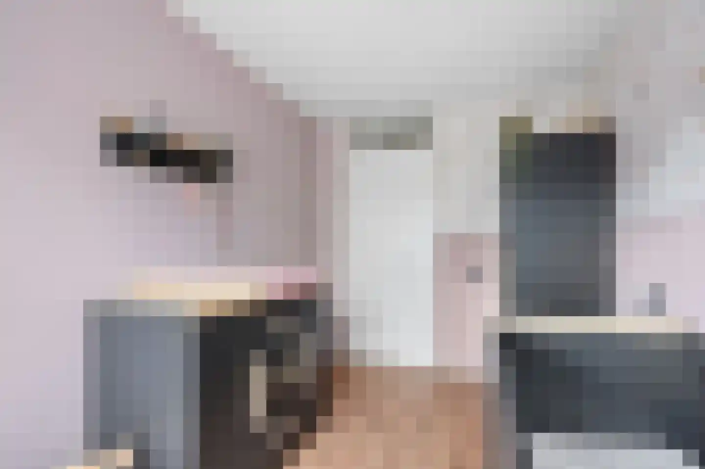 Muurzwaluw 9 Veenendaal thumbnail 18