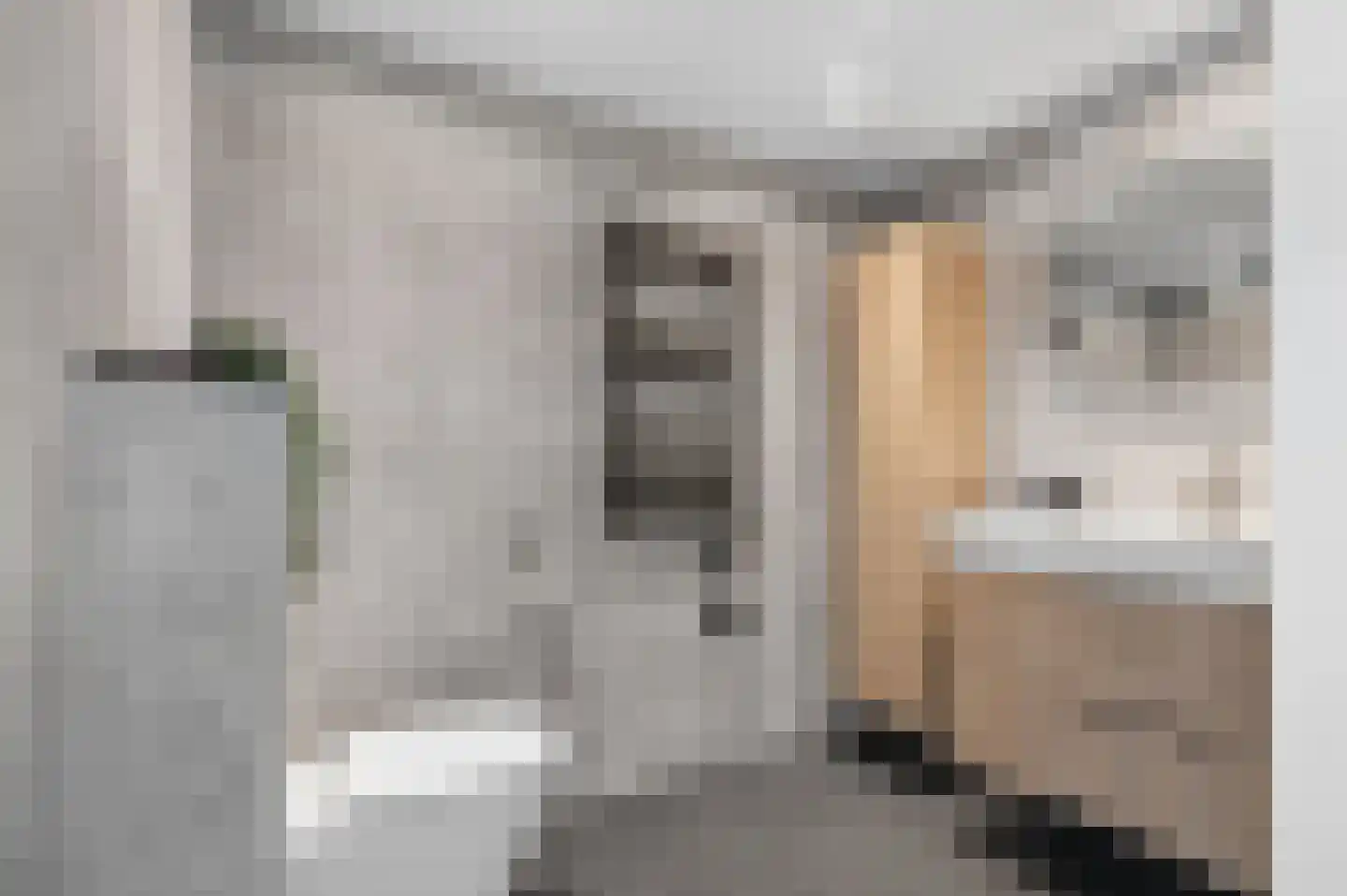 Muurzwaluw 9 Veenendaal thumbnail 20