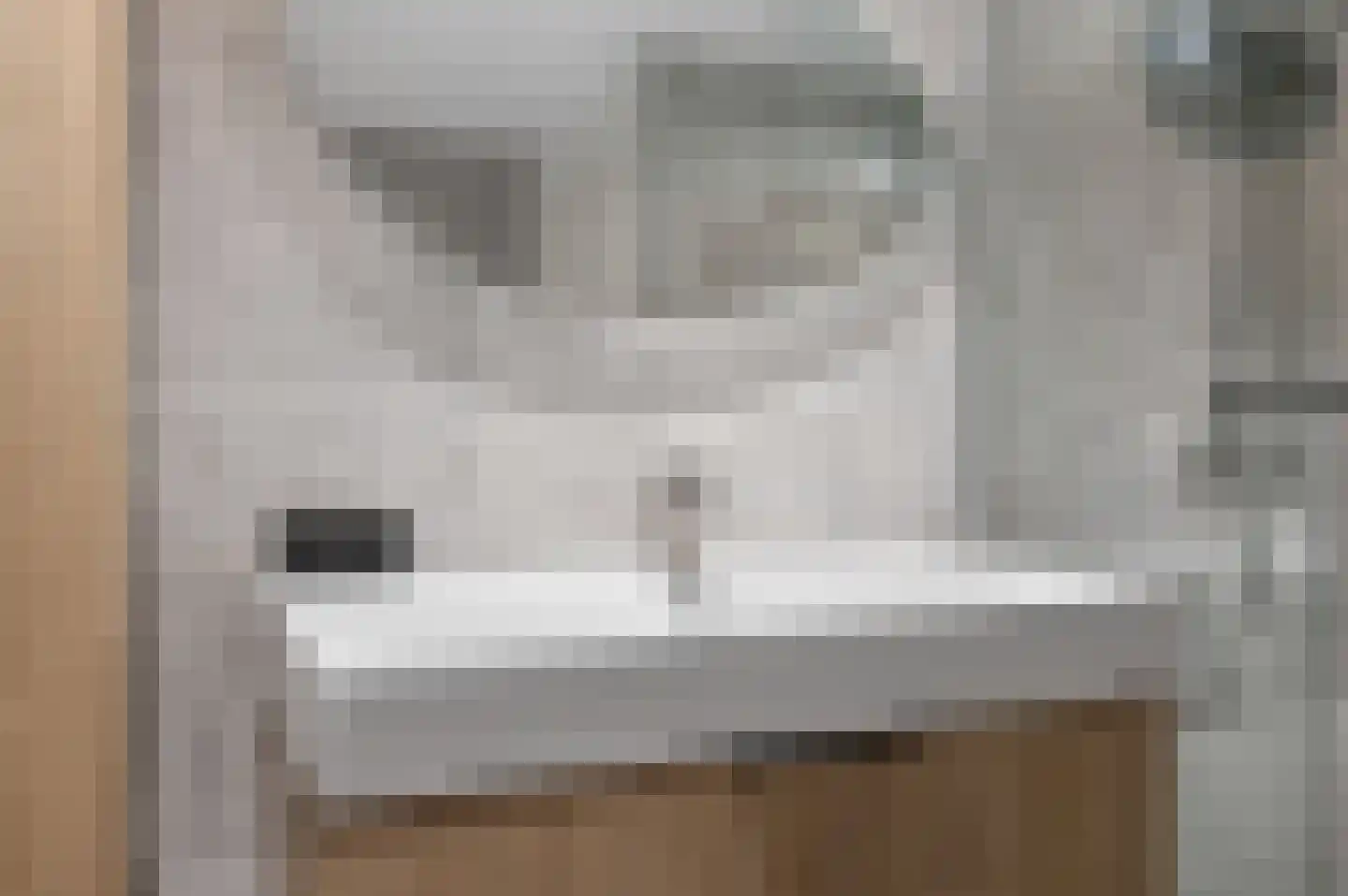Muurzwaluw 9 Veenendaal thumbnail 21