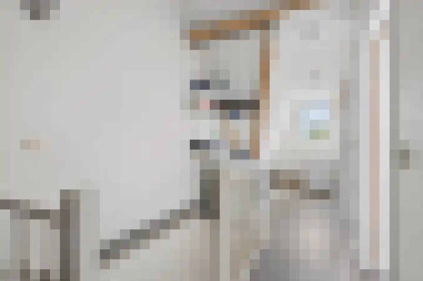 Muurzwaluw 9 Veenendaal thumbnail 24