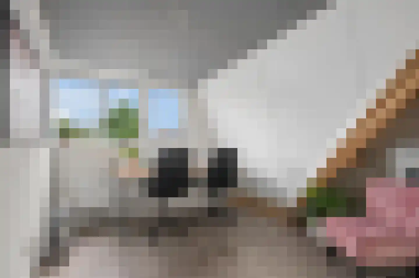 Muurzwaluw 9 Veenendaal thumbnail 26