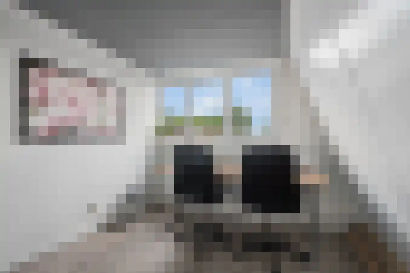 Muurzwaluw 9 Veenendaal thumbnail 28